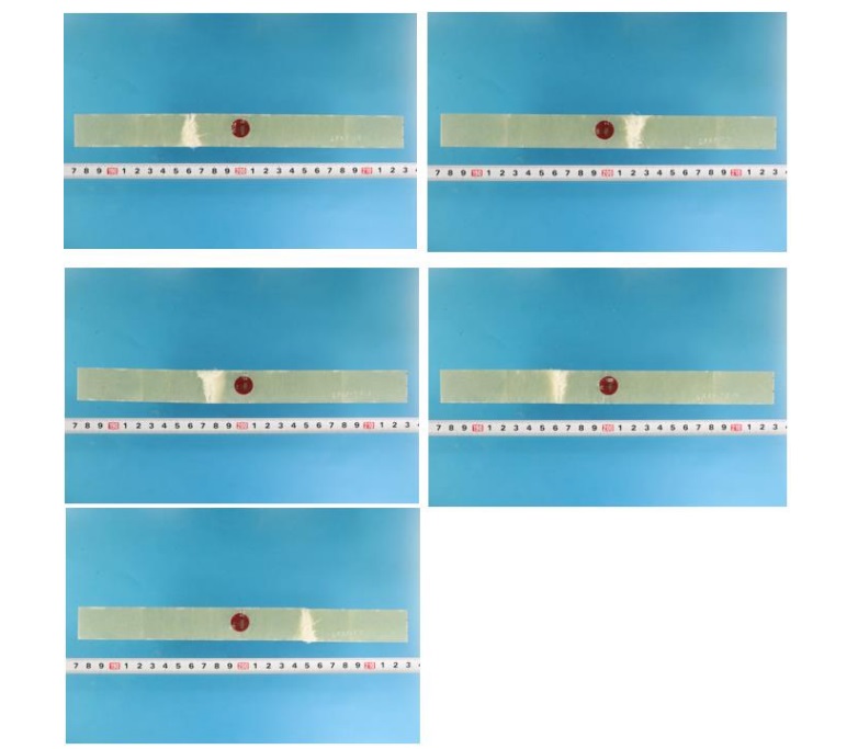 試験後試験片画像